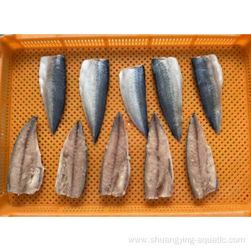 New Season Frozen Pacific Mackerel Fish Fillets